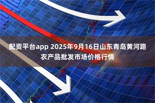 配资平台app 2025年9月16日山东青岛黄河路农产品批发市场价格行情