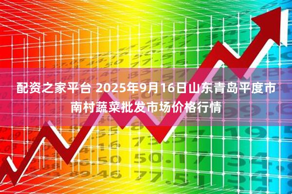 配资之家平台 2025年9月16日山东青岛平度市南村蔬菜批发市场价格行情