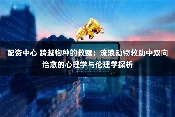 配资中心 跨越物种的救赎：流浪动物救助中双向治愈的心理学与伦理学探析