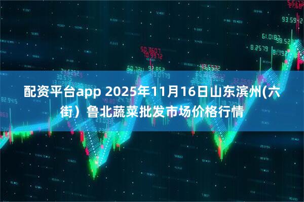 配资平台app 2025年11月16日山东滨州(六街）鲁北蔬菜批发市场价格行情